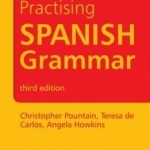 Practising Spanish grammar: a workbook