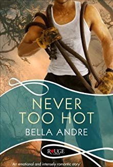 Never Too Hot (Hot Shots: Men of Fire, #3)