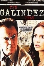 Galindez File (2007)