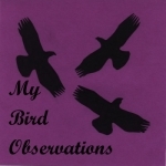 My Bird Observations