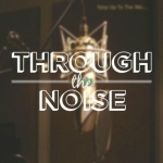 Through the Noise