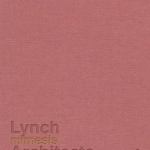 Mimesis: Lynch Architects