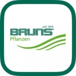 Bruns Pflanzen