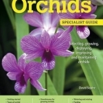 Home Gardener&#039;s Orchids