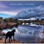 Little World by Allyson Seconds