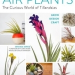 Air Plants: The Curious World of Tillandsias