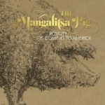 The Mangalitsa Pig