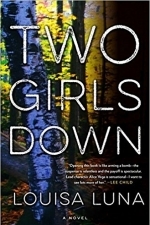 Two Girls Down: A Novel