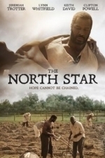 The North Star (2013)