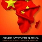 Chinese Investment in Africa: How African Countries Can Position Themselves to Benefit from China&#039;s Foray into Africa
