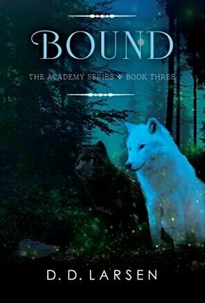 Bound (The Academy #3)