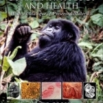 Gorilla Pathology and Health: With a Catalogue of Preserved Materials