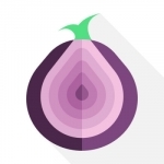 Onion VPN Browser  - TOR-powered VPN for streaming