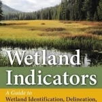 Wetland Indicators: A Guide to Wetland Formation, Identification, Delineation, Classification, and Mapping