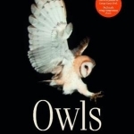 Owls: A Guide to Every Species