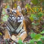 India: Land of Tigers and Temples