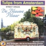 Tulips from Amsterdam by De Blauwe Pilaar / Various Artists