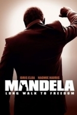 Mandela: Long Walk to Freedom (2013)