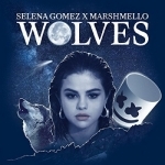 Wolves by Selena Gomez