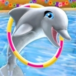 My Dolphin Show