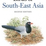 A Field Guide to the Birds of South-East Asia