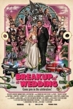 Breakup at a Wedding (2013)