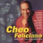 Una Voz Mi Recuerdos by Cheo Feliciano