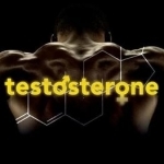 Testosterone: The Molecule Behind Power, Sex, and the Will to Win