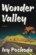 Wonder Valley: A Novel