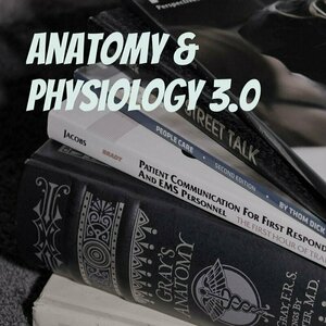 Anatomy &amp; Physiology II