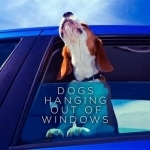 Dogs Hanging out of Windows