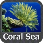 Coral Sea GPS Nautical Charts