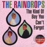 Kind of Boy You Can&#039;t Forget by The Raindrops