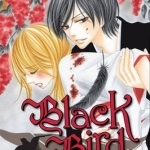 Black Bird: Vol. 1