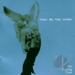 Rising Tide by Sunny Day Real Estate