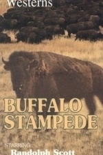 Buffalo Stampede (1933)