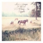 Sometimes I Wish We Were an Eagle by Bill Callahan