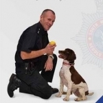 A Hero&#039;s Tail: True Stories from the Lives of Police Dog Handlers.