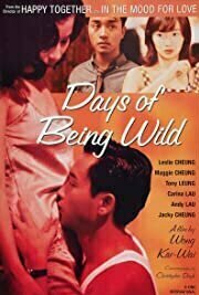 Days of Being Wild (1990)