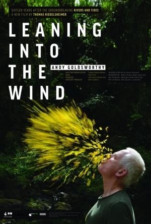 Leaning Into the Wind: Andy Goldsworthy (2017)