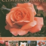 Climbing Roses: an Illustrated Guide to Varieties, Cultivation and Care, with Step-by-step Instructions and Over 160 Beautiful Photographs