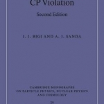 CP Violation