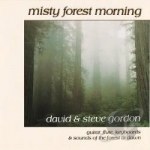 Misty Forest Morning by David &amp; Steve Gordon