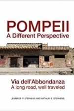 Pompeii: A Different Perspective