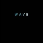 The Wave: A Memoir of Life After the Tsunami
