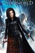 Underworld: Awakening (2012)