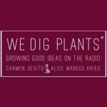 We Dig Plants