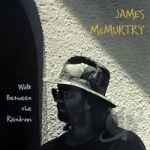 Walk Between the Raindrops by James Mcmurtry