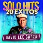 Solo Hits 20 Exitos by David Lee Garza