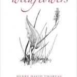 Thoreau&#039;s Wildflowers